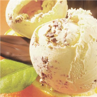 Πάστες Παγωτού Φρούτων